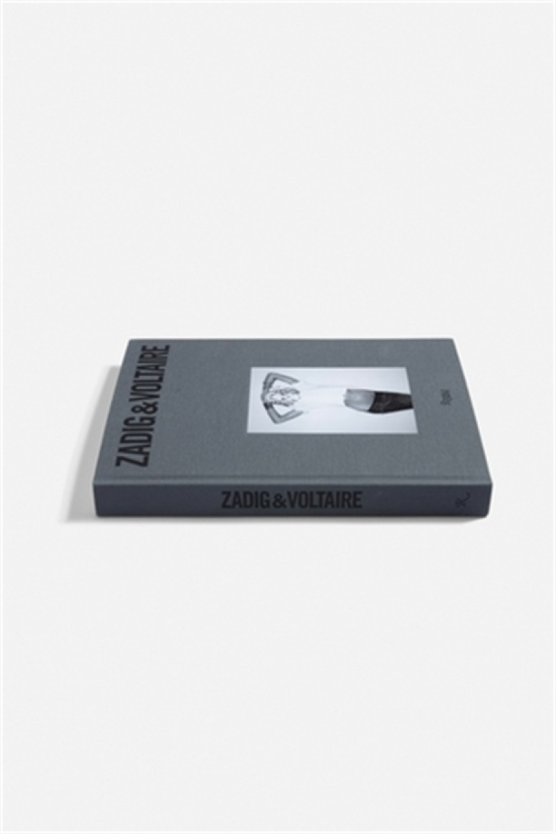 Grey Zadig And Voltaire Book | ZV-255808