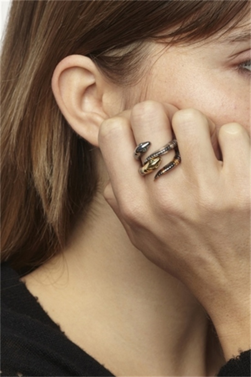 Shiny Silver Zadig And Voltaire Snake Ring | ZV-255886